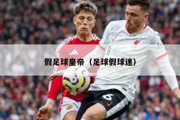 假足球皇帝（足球假球迷）