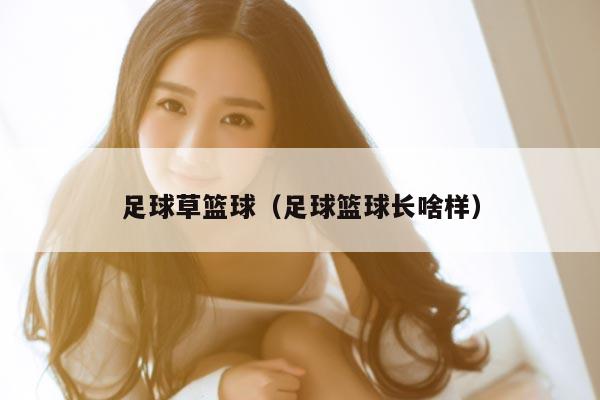 足球草篮球（足球篮球长啥样）