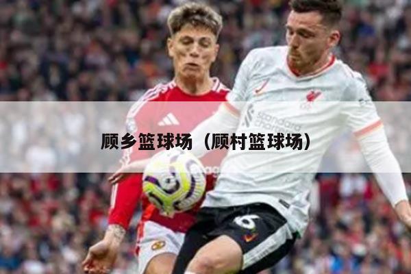 顾乡篮球场（顾村篮球场）