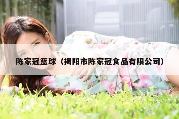 陈家冠篮球（揭阳市陈家冠食品有限公司）