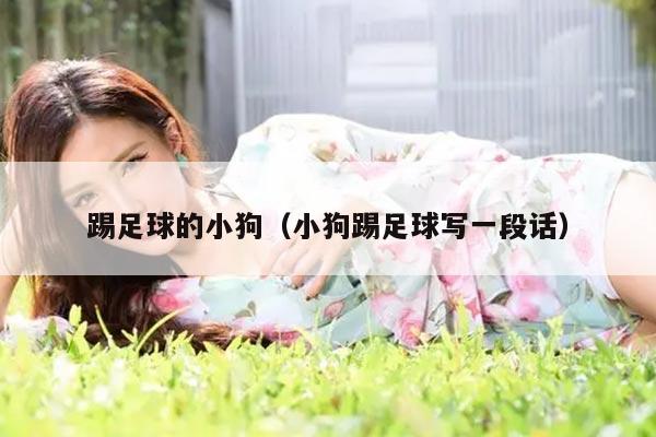 踢足球的小狗（小狗踢足球写一段话）
