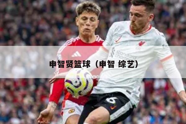 申智贤篮球（申智 综艺）