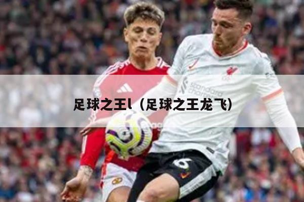 足球之王l（足球之王龙飞）