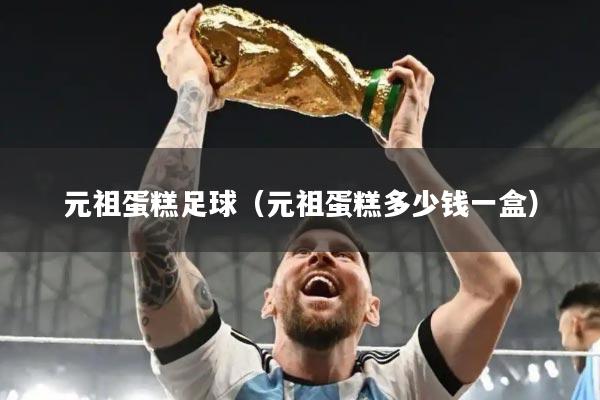 元祖蛋糕足球（元祖蛋糕多少钱一盒）