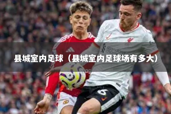 县城室内足球（县城室内足球场有多大）