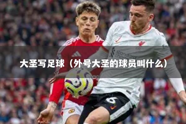 大圣写足球（外号大圣的球员叫什么）